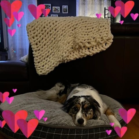 Meet your Posher, Dominique - Picture 1 of 1